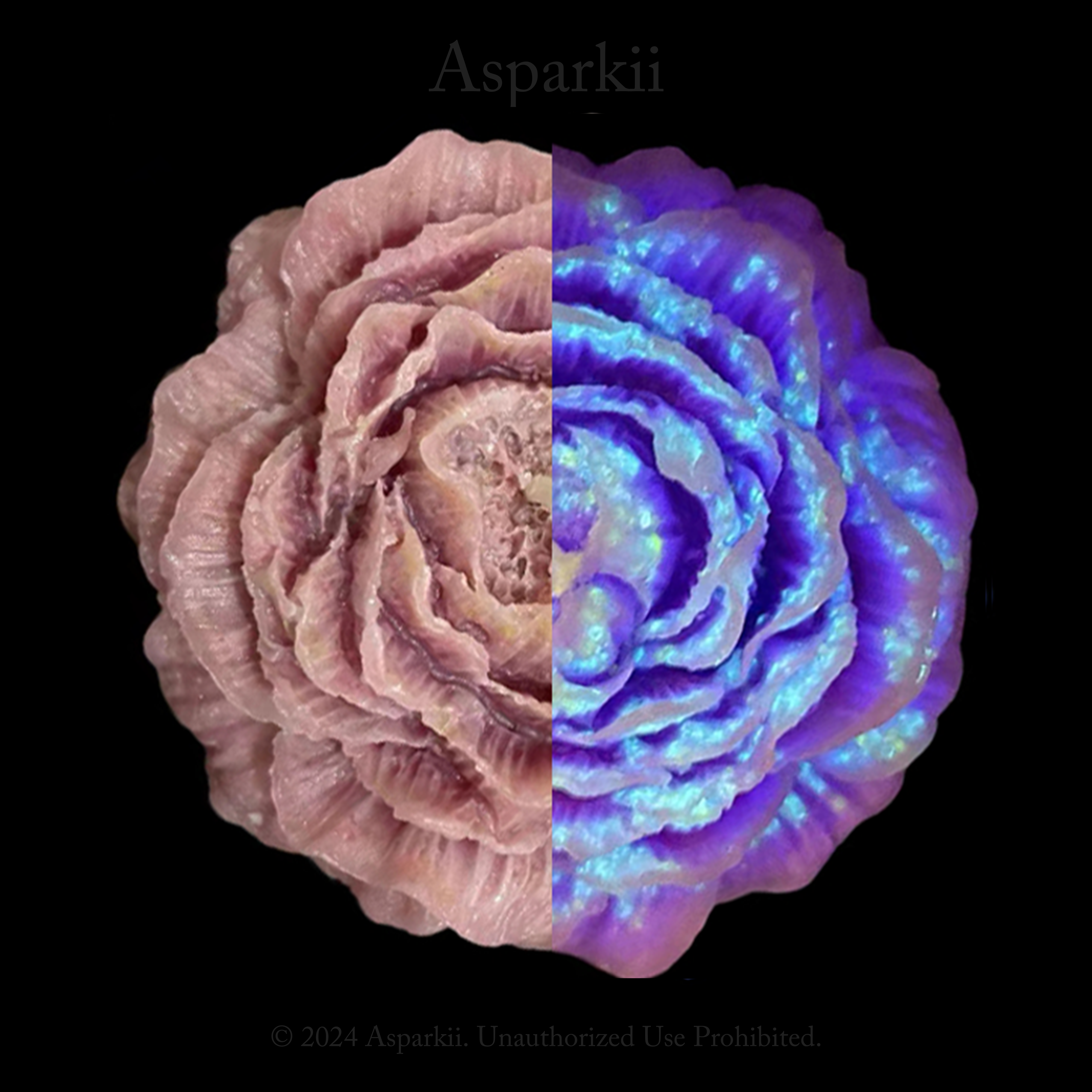 B109] Fluorescent style Starry Rose Low Temp Candles – Asparkii