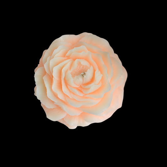 Fluorescent style Apricot Glow Rose Low Temperature Candle