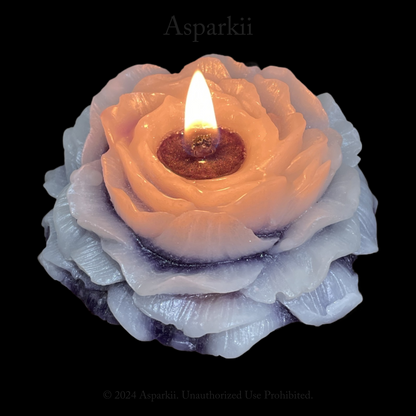 [A 107]  Gradient style Violet Veil Rose Low Temp Candles