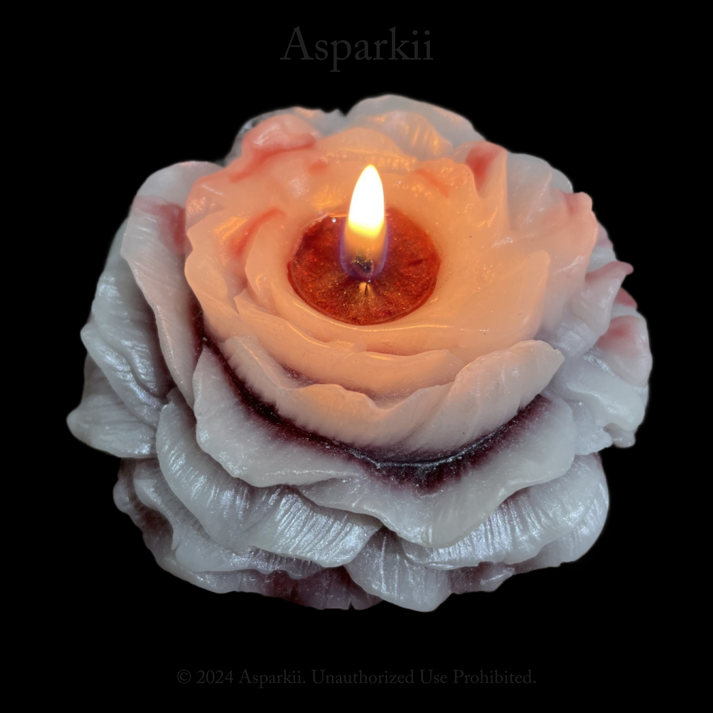 [A 108] Gradient style Crimson Veil Rose Low Temp Candles