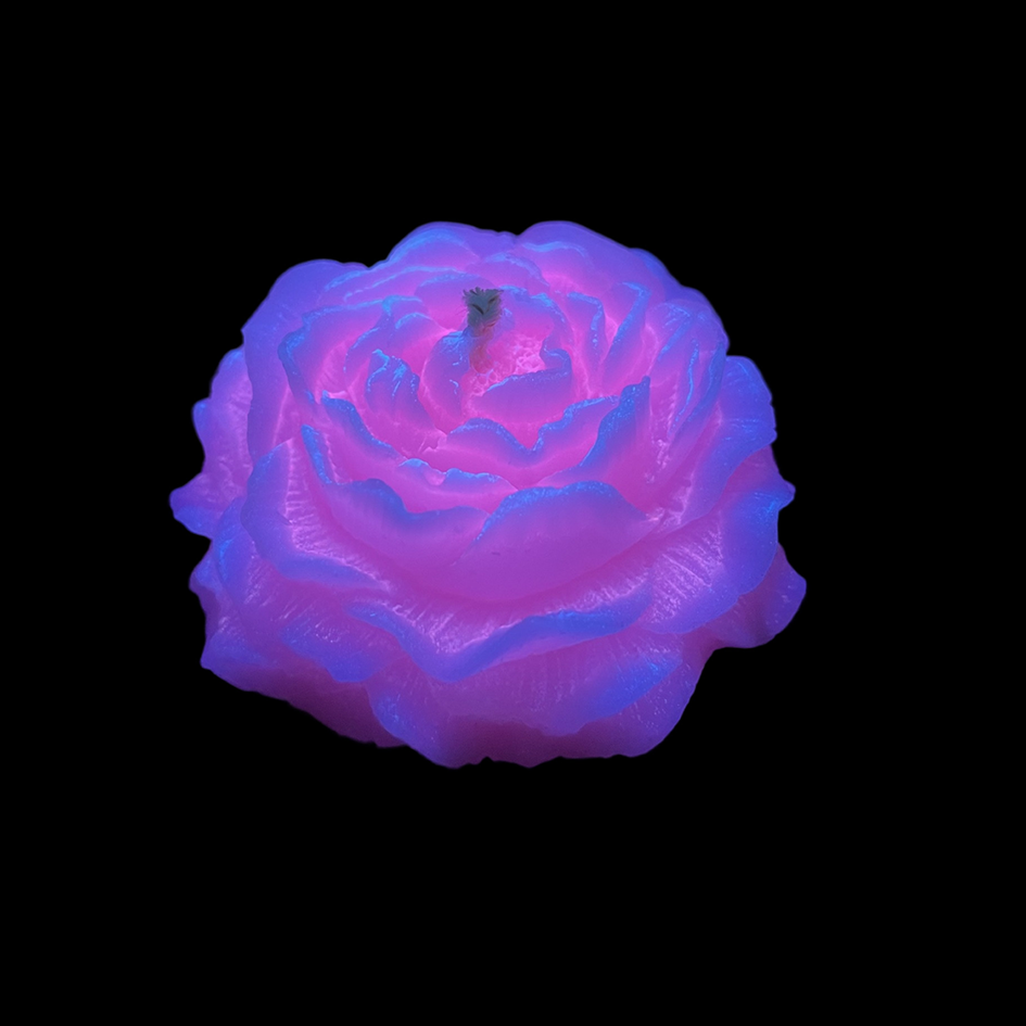 Fluorescent style Magenta Mist Rose Low Temp Candles – Asparkii Candle