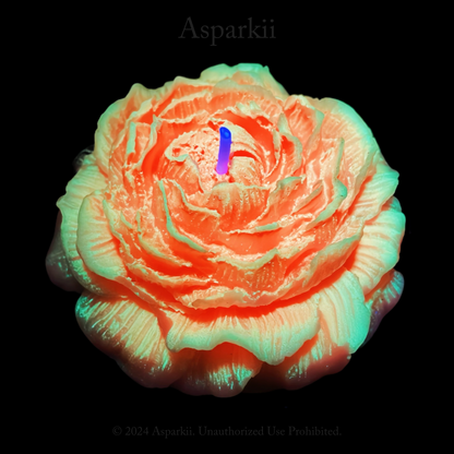 [B114] Fluorescent style  Marigold Rose Low Temp Candles