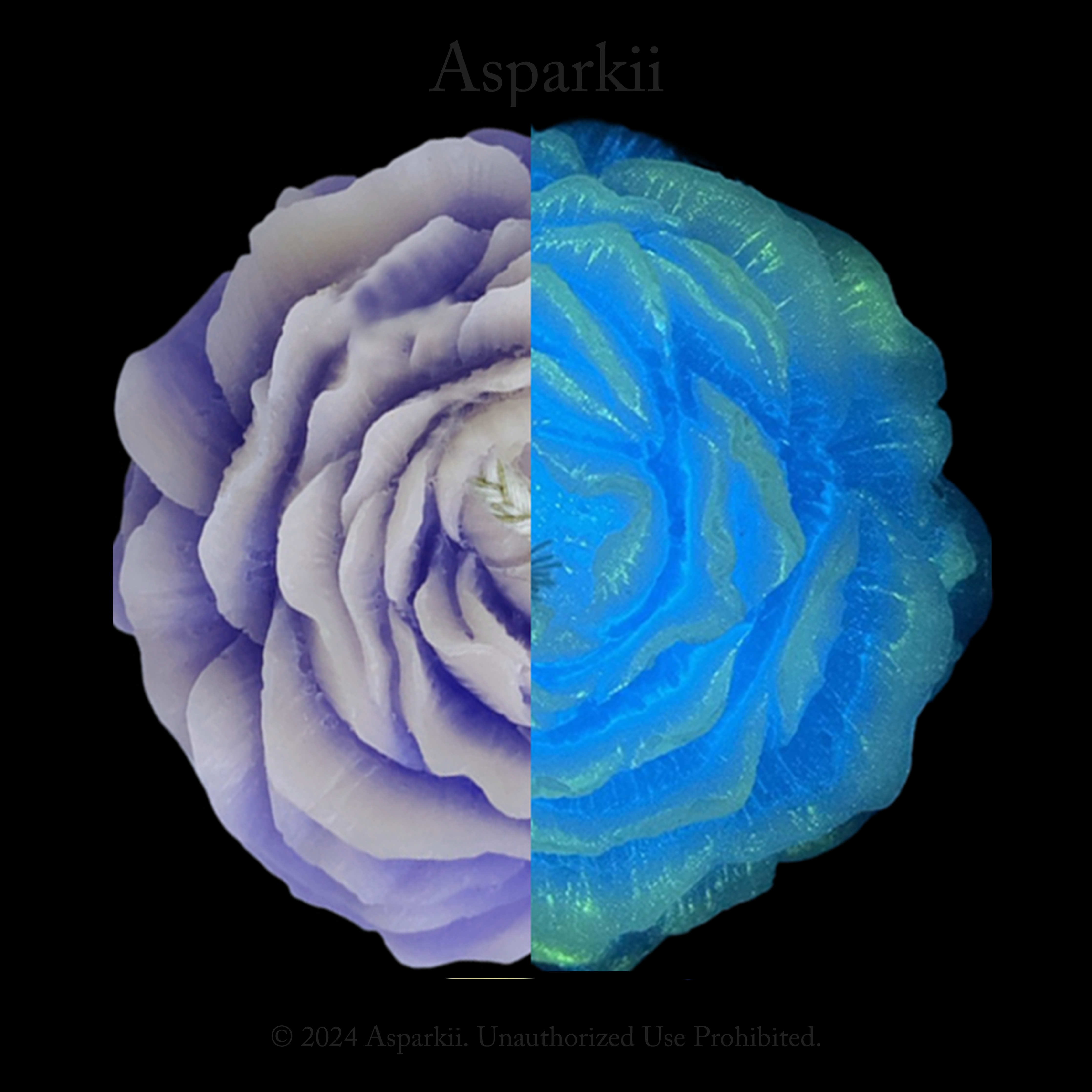 [B103] Fluorescent style Aubergine Rose Low Temp Candles – Asparkii